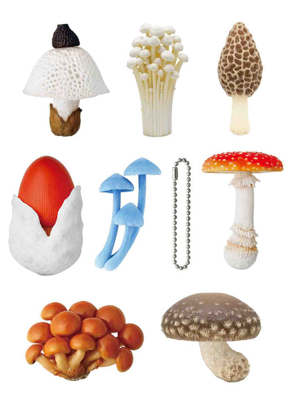 mushroom　1001 il_1080xN.5497053566_mn3a.jpg