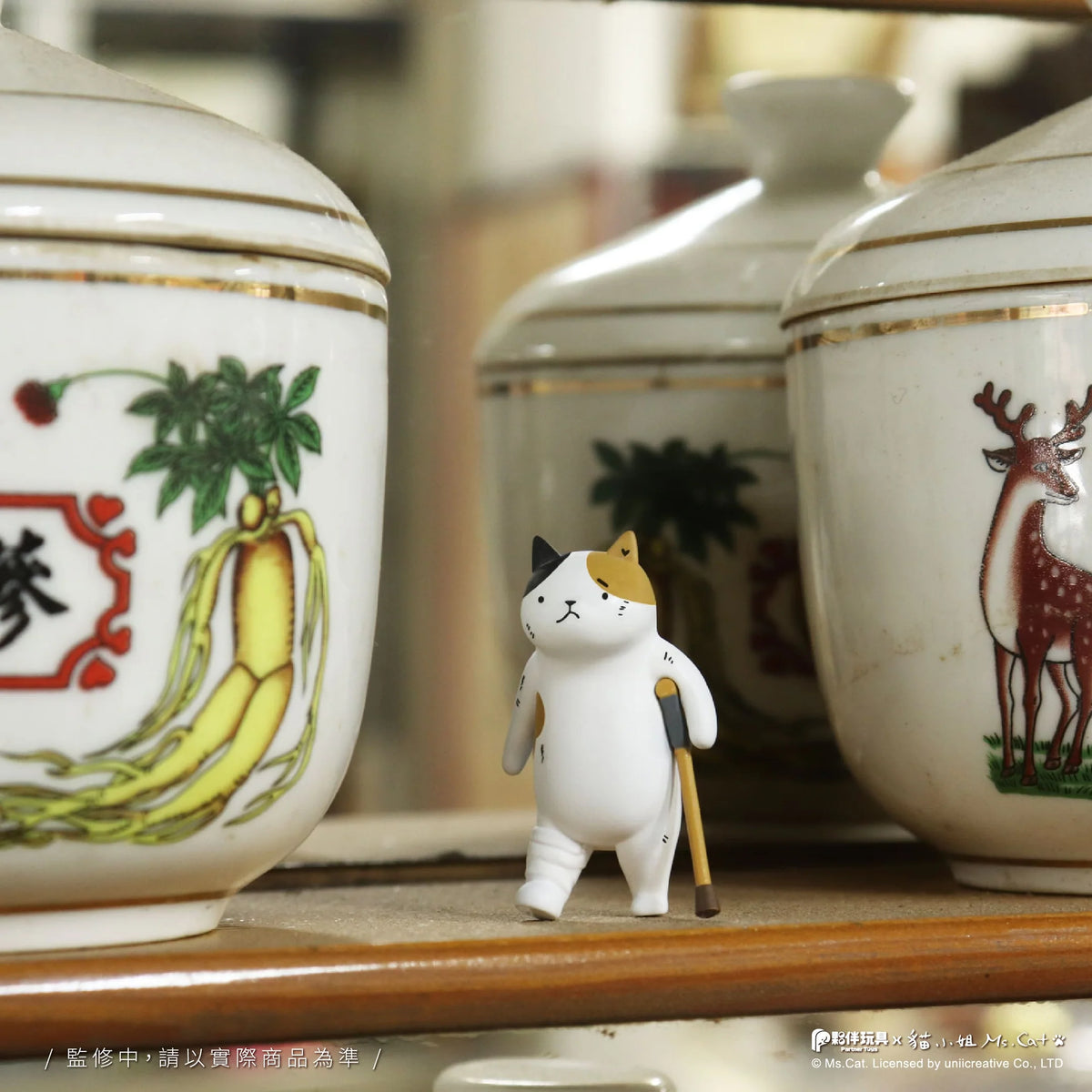 Cat Kung Fu Clinic Blind Box
