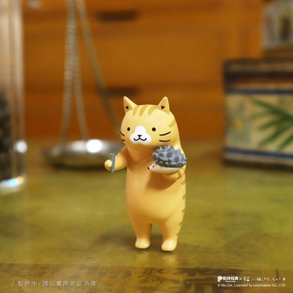 Cat Kung Fu Clinic Blind Box