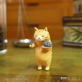 Cat Kung Fu Clinic Blind Box