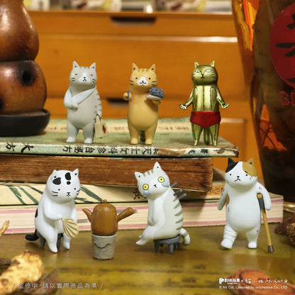 Cat Kung Fu Clinic Blind Box