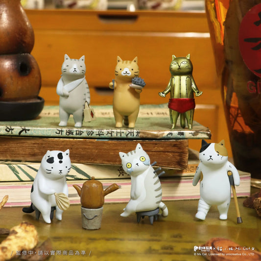 Cat Kung Fu Clinic Blind Box