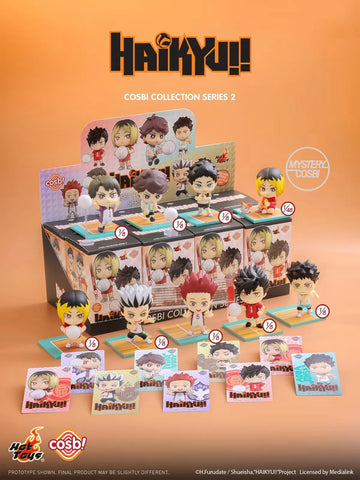 Haikyu!! Cosbi Collection Series 2