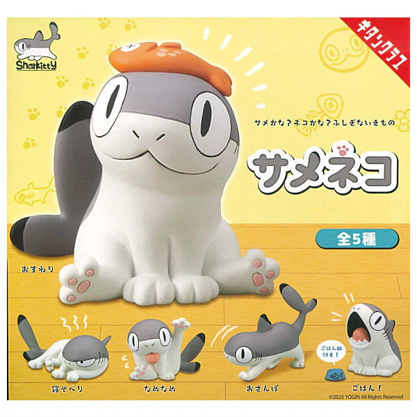 Sharkitty Sameneko Figure Mascot Series.
