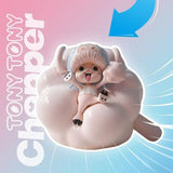 Win Main One Piece Tony Tony Chopper Night Light Series
