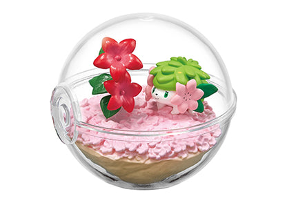 Pokemon Terrarium 11