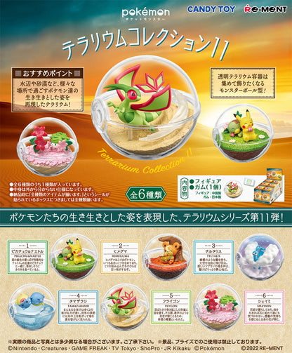 Pokemon Terrarium 11